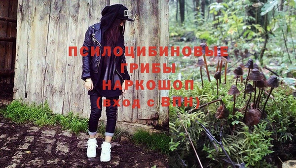 скорость Бородино